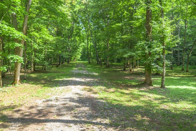 305 Allens Creek Rd, Hohenwald, TN 38462