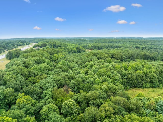 0 New Lawrenceburg Hwy, Mount Pleasant, TN 38474