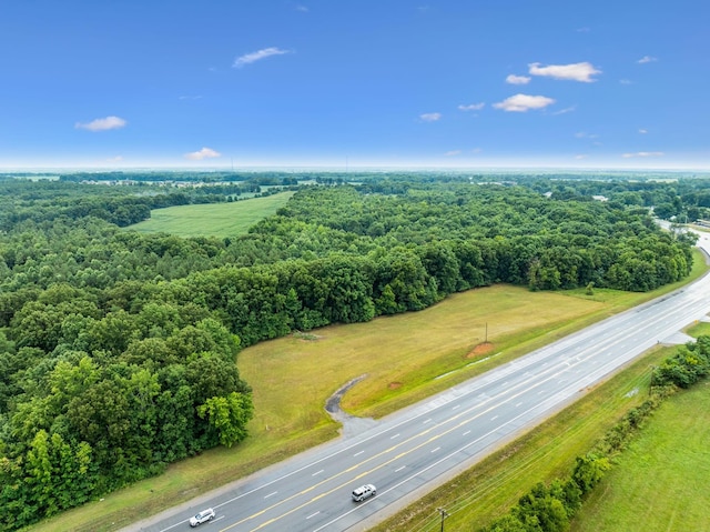 0 New Lawrenceburg Hwy, Mount Pleasant, TN 38474