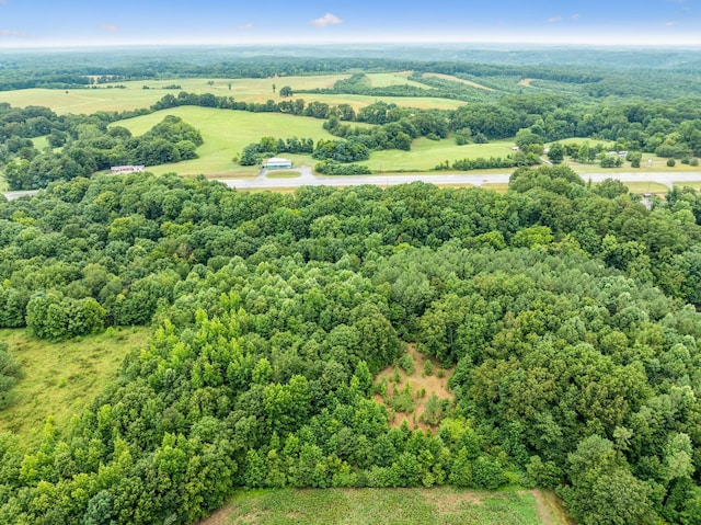 0 New Lawrenceburg Hwy, Mount Pleasant, TN 38474