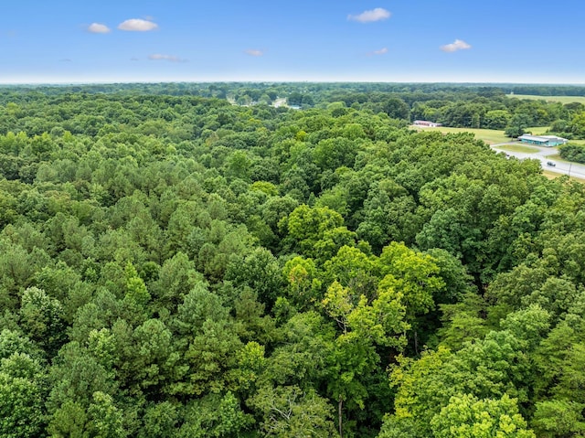 0 New Lawrenceburg Hwy, Mount Pleasant, TN 38474