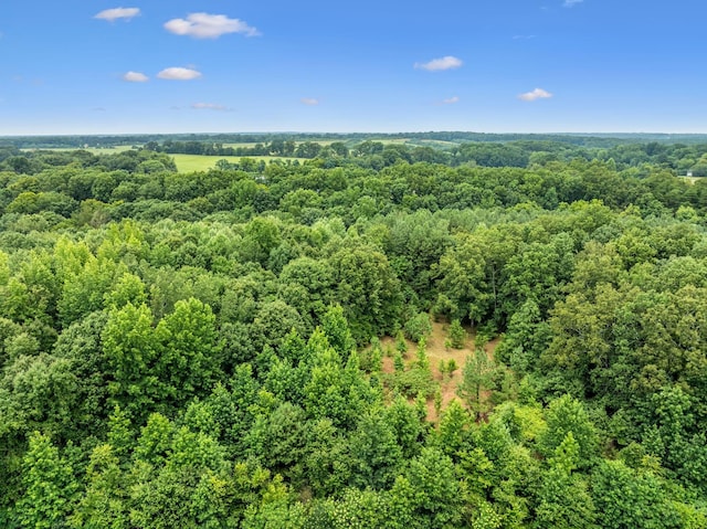 0 New Lawrenceburg Hwy, Mount Pleasant, TN 38474