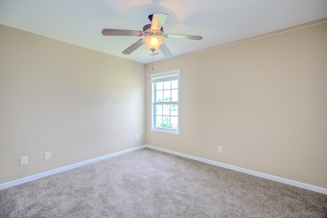 3344 Melissa Ln, Clarksville, TN 37042 - photo 24