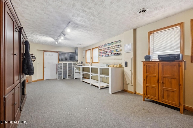 602 Mize Cir, Seymour, TN 37865 - interior space with a textured ceiling, light carpet, and rail lighting