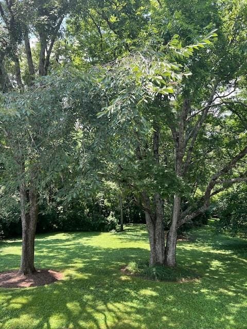 4805 Bowfield Dr, Antioch, TN 37013 - view of green lawn