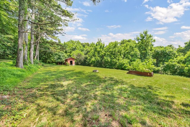 1524 River Rd, Clarksville, TN 37040 - photo 31