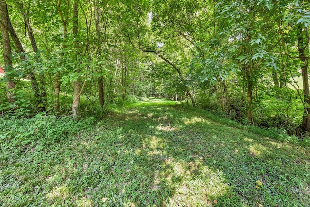 1524 River Rd, Clarksville, TN 37040 - photo 39