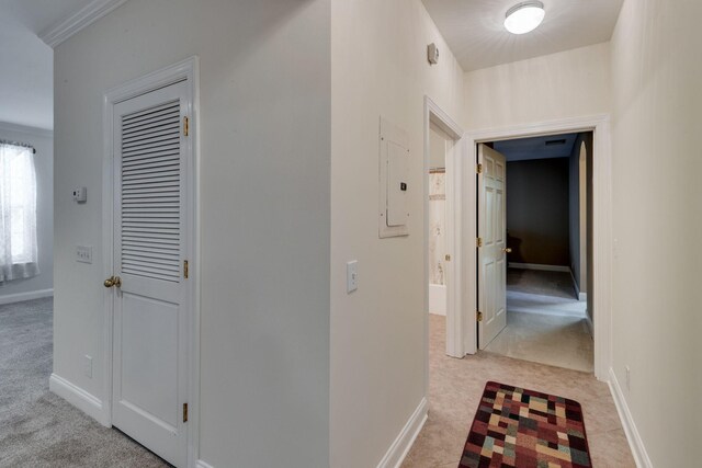 4316 Summercrest Blvd Unit 507, Antioch, TN 37013 - photo 16