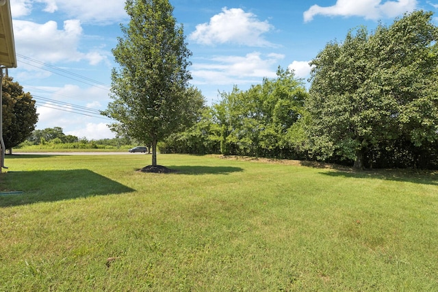 414 Stratford Park Blvd, Gallatin, TN 37066 - photo 35