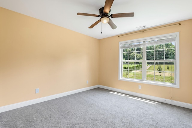4927 Minnis Rd, Springfield, TN 37172 - photo 27