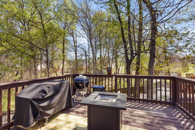 189 Whitehall Dr, Clarksville, TN 37042 - photo 27