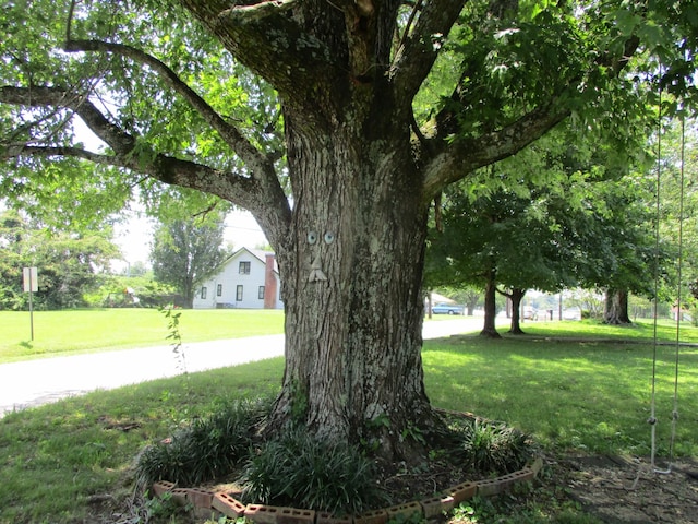 526 W Main St, Smithville, TN 37166 - photo 6