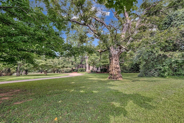 1108 Belle Meade Blvd, Nashville, TN 37205 - photo 7
