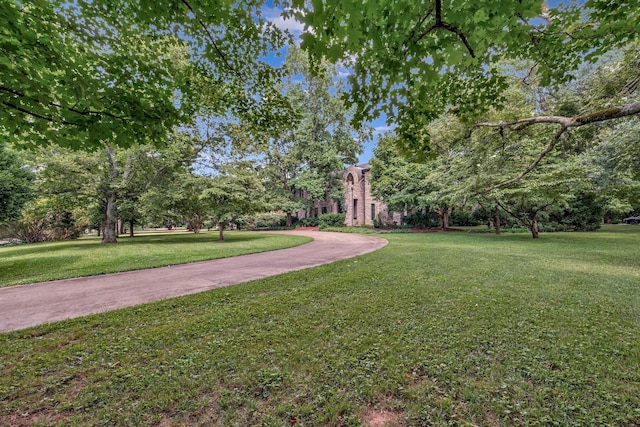 1108 Belle Meade Blvd, Nashville, TN 37205 - photo 5
