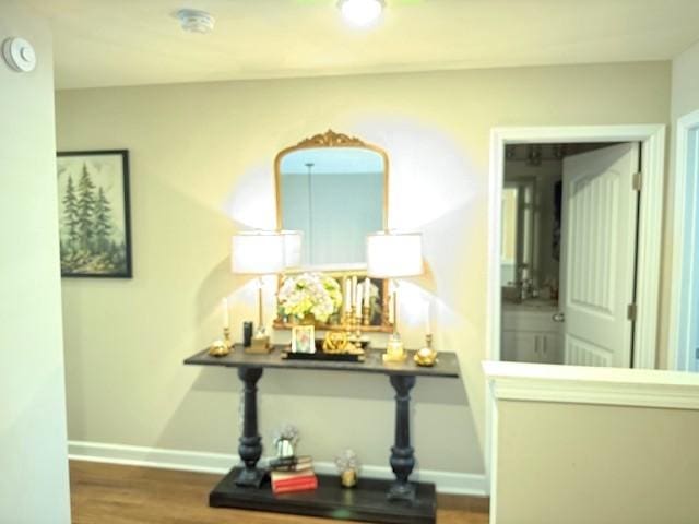 967 Horse Mountain Rd Unit 1E, Shelbyville, TN 37160 - corridor with baseboards and wood finished floors