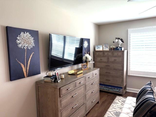 967 Horse Mountain Rd Unit 1E, Shelbyville, TN 37160 - bedroom with dark wood finished floors and multiple windows