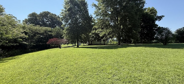 7011 Poplar Corner Rd, Bells, TN 38006 - photo 7