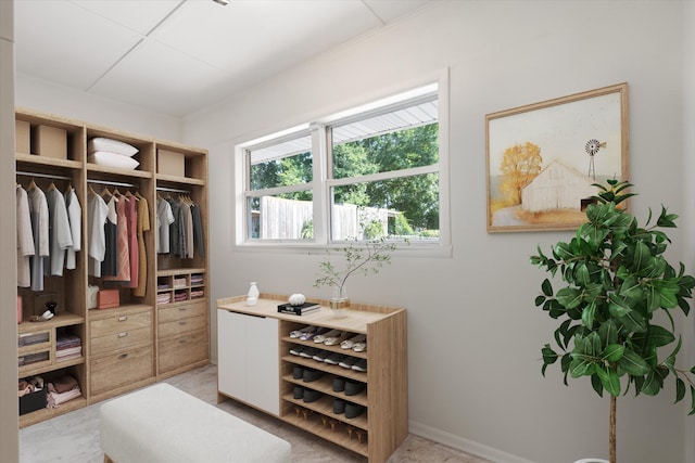 1211 Taylor Pl, Murfreesboro, TN 37129 - view of walk in closet