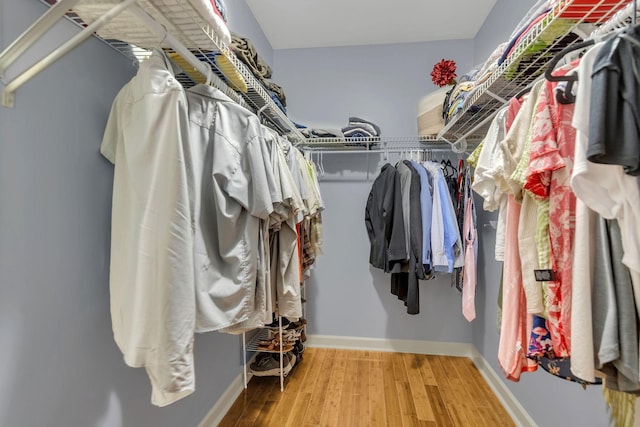 343 Belinda Pkwy, Mount Juliet, TN 37122 - spacious closet featuring wood finished floors
