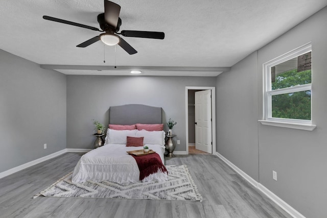 404 Morton St, Smyrna, TN 37167 - photo 17