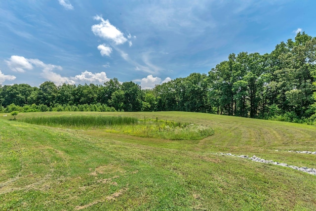 3042 Killarney Park, White House, TN 37188 - photo 28