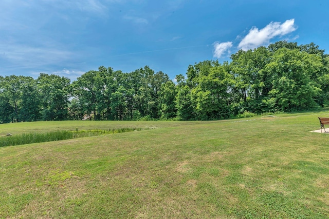 3042 Killarney Park, White House, TN 37188 - photo 25
