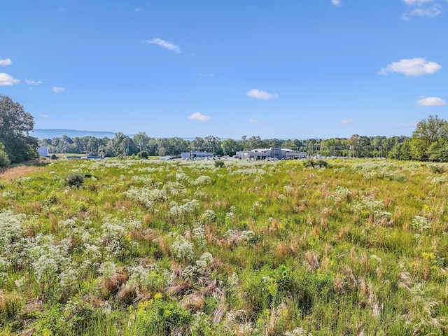 5944 Manchester Hwy, Morrison, TN 37357 - photo 10