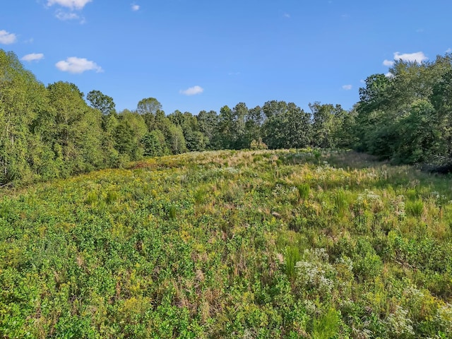 5944 Manchester Hwy, Morrison, TN 37357 - photo 12