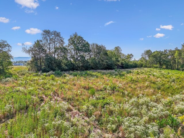 5944 Manchester Hwy, Morrison, TN 37357 - photo 11