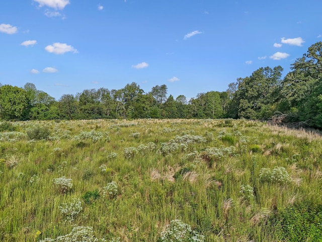 5944 Manchester Hwy, Morrison, TN 37357 - photo 9