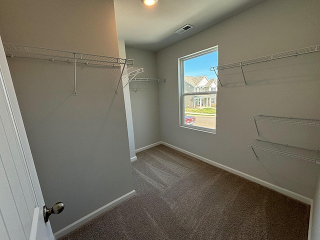 4902 Mowbray Way, Murfreesboro, TN 37129 - walk in closet featuring carpet floors