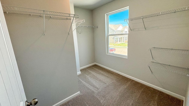 4902 Mowbray Way, Murfreesboro, TN 37129 - walk in closet with carpet flooring