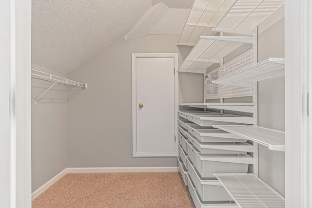 2415 Franklin Ln, Murfreesboro, TN 37130 - walk in closet with carpet and lofted ceiling