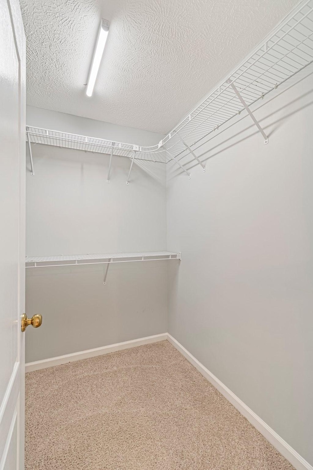 2415 Franklin Ln, Murfreesboro, TN 37130 - walk in closet with carpet floors