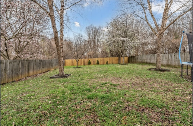 1589 Hedgewood Rd, Clarksville, TN 37042 - photo 29