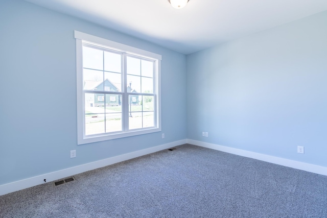 2060 Beverly Ct, Springfield, TN 37172 - photo 29