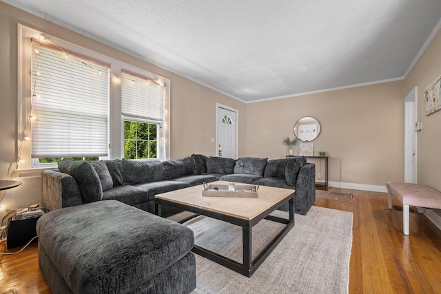 918 Sutton Hill Rd, Nashville, TN 37204 - photo 8