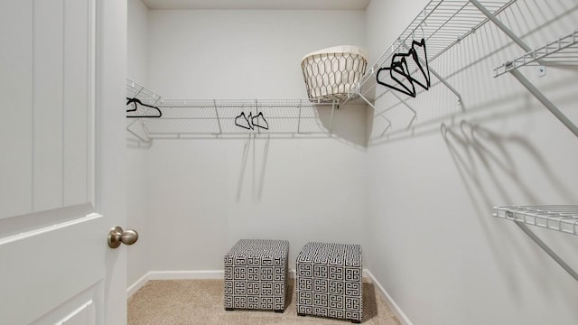 1306 Linn Cove Ct, Gallatin, TN 37066 - photo 20