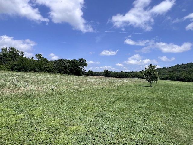 0 Beech Log Rd, Watertown, TN 37184
