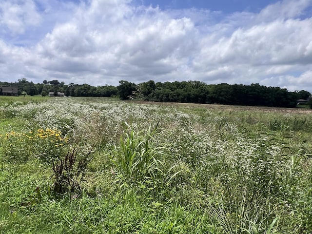 0 Beech Log Rd, Watertown, TN 37184