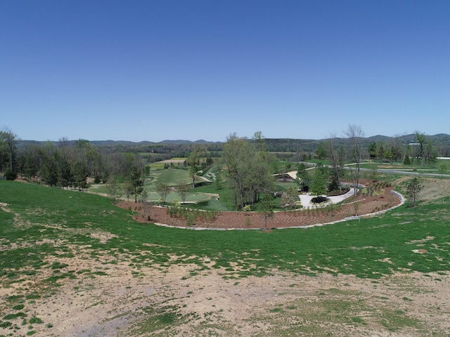 8500 Walking Horse Trl, College Grove, TN 37046 - photo 5