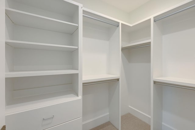 7555 Whiskey Rd, College Grove, TN 37046 - walk in closet featuring carpet floors