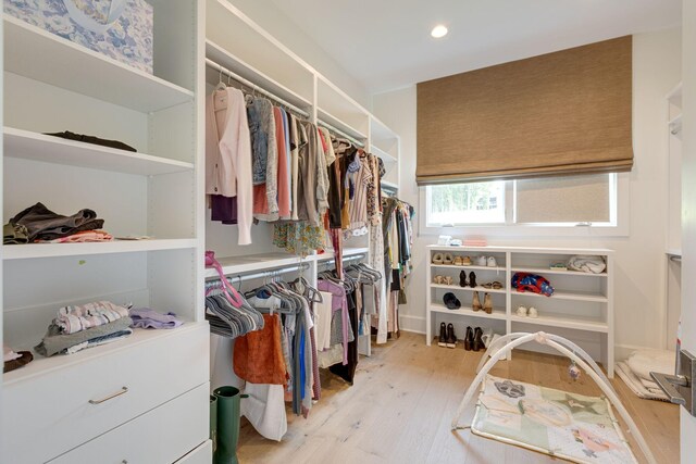 7555 Whiskey Rd, College Grove, TN 37046 - spacious closet featuring light wood finished floors