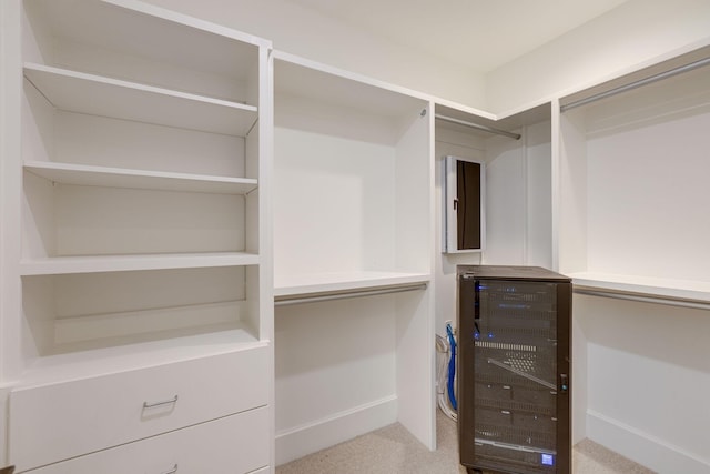 7555 Whiskey Rd, College Grove, TN 37046 - spacious closet with beverage cooler and carpet flooring