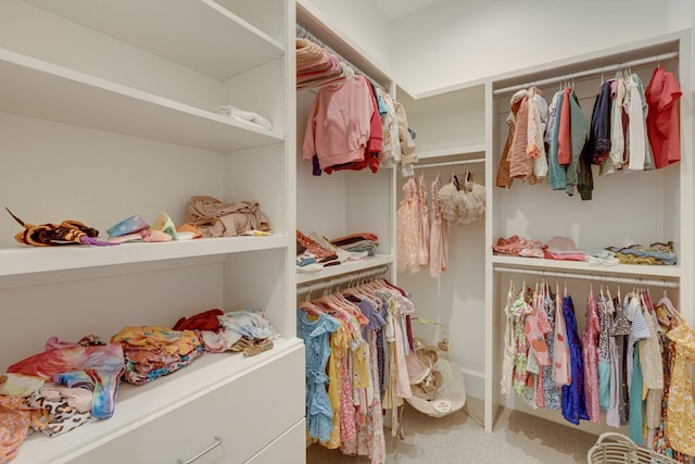 7555 Whiskey Rd, College Grove, TN 37046 - spacious closet featuring carpet floors