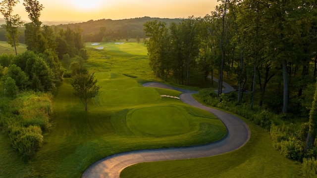 7555 Whiskey Rd, College Grove, TN 37046 - view of community with view of golf course