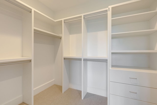 7555 Whiskey Rd, College Grove, TN 37046 - walk in closet with light colored carpet