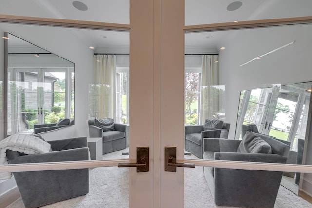 7555 Whiskey Rd, College Grove, TN 37046 - living area featuring plenty of natural light