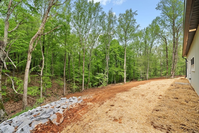 4151 Southside Rd, Southside, TN 37171 - photo 40