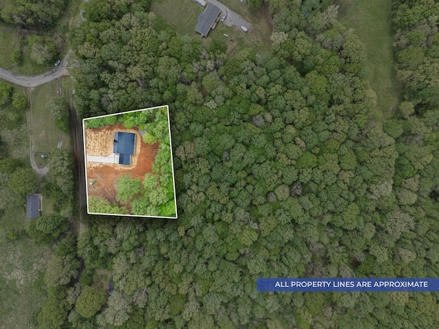4151 Southside Rd, Southside, TN 37171 - photo 35